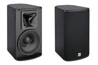 Am Besten Angetriebene Hintergrund-Musik-System-Sprecher 10 Zoll-Audiokaraoke-Ausrüstung m Verkauf
